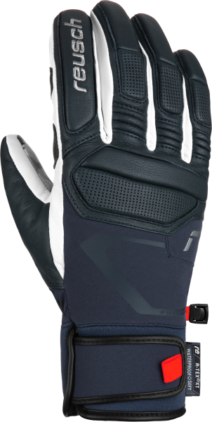 Reusch Alexis Pinturault 6201113 4477 white blue front